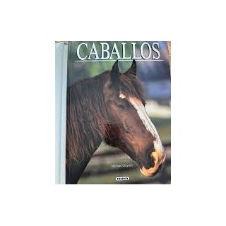Caballos